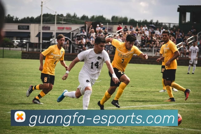 广发电竞官网发展历程